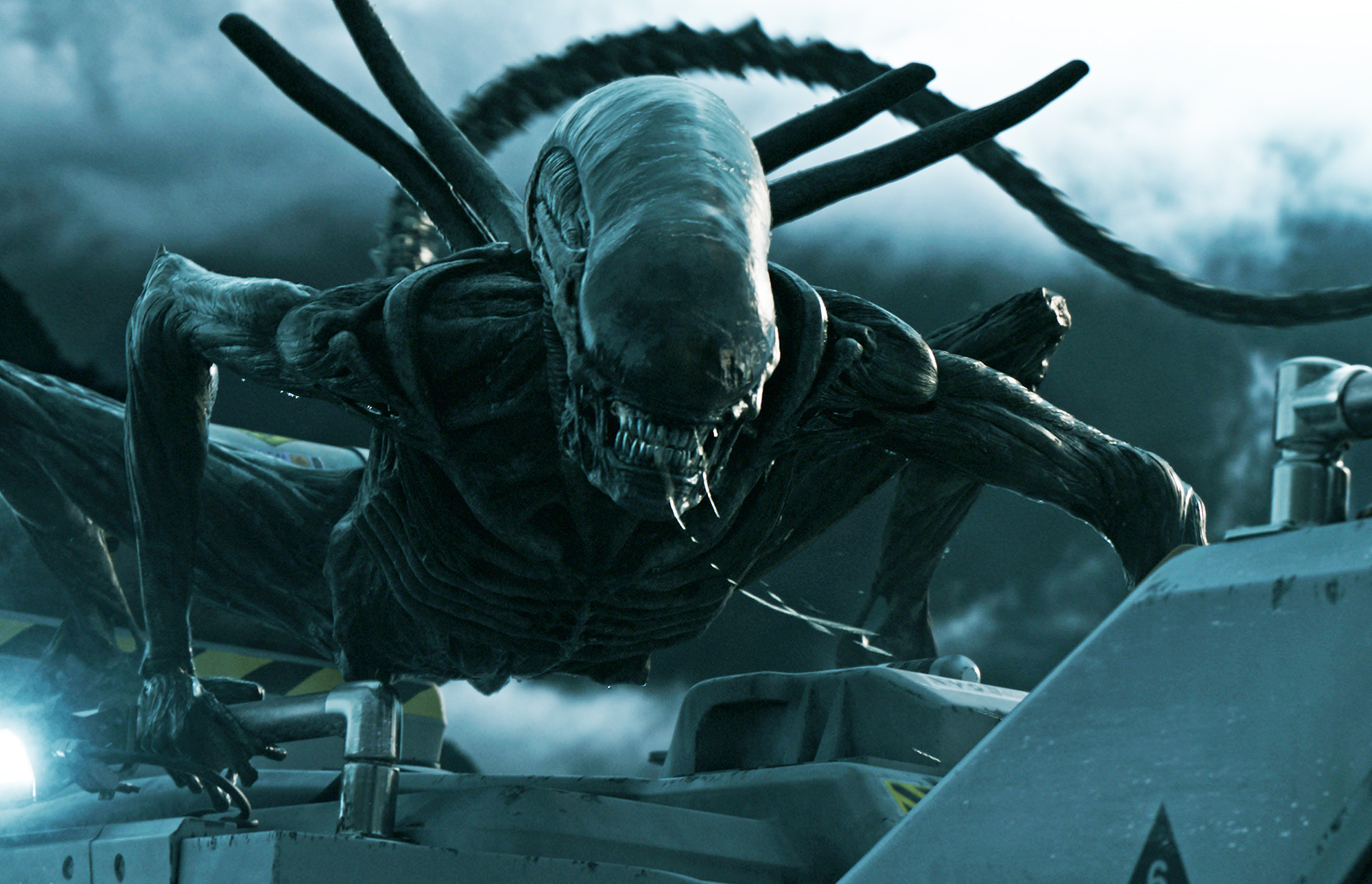 How 'Alien: Covenant' Erases Predators From the Official Alienverse  (Spoilers!)